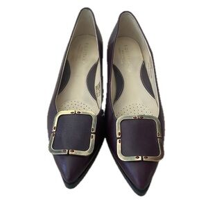 Pointed Toe Flats with Decorative Buckle in Dark Brown